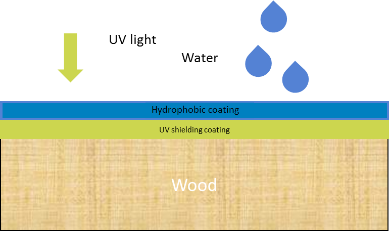 Enlarged view: Schematic drawing of a wood surface coating (Source: ETH Zürich)